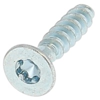 Testa forata Torx
