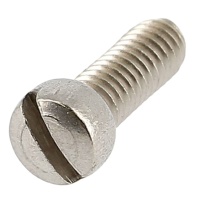 Vite testa cilindrica bombata con intaglio