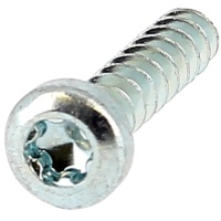 Testa cilindrica bombata Torx