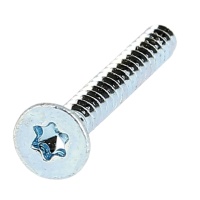 Viti lamiera testa forata Torx acciaio zincato bianco Iso 14586C