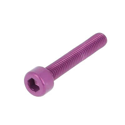 Blister da 5 viti a testa cilindrica con cava esagonale all. P60 OA viola